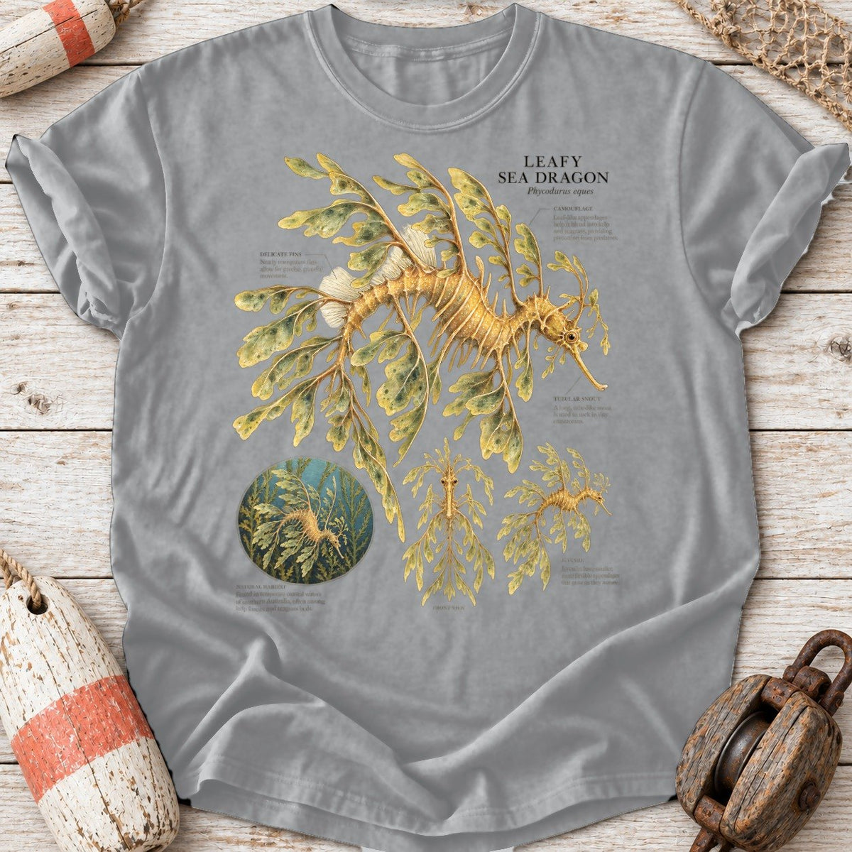 Leafy Sea Dragon