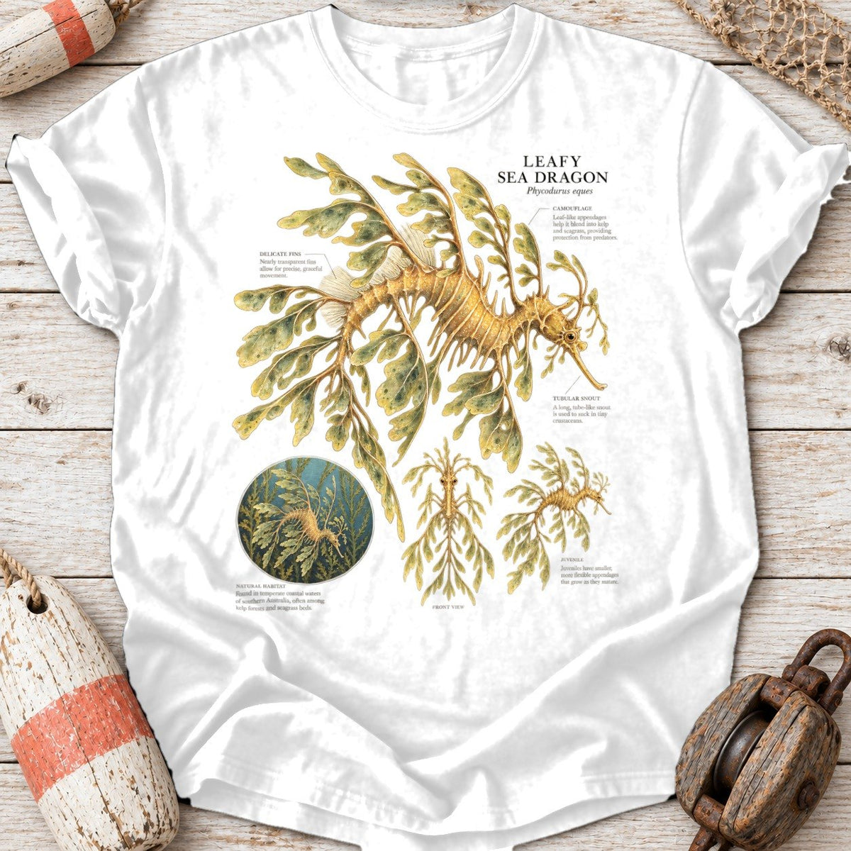 Leafy Sea Dragon