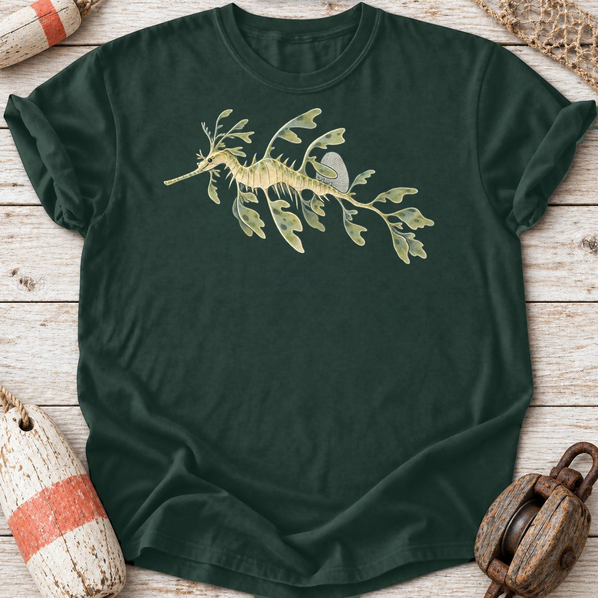 Leafy Seadragon Study