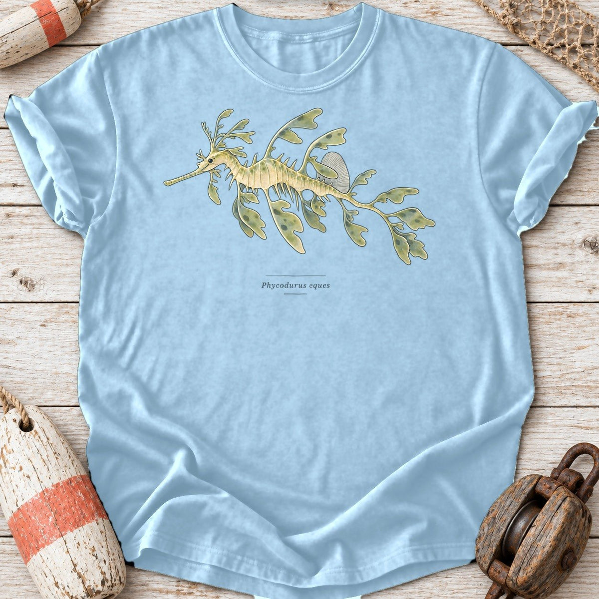 Leafy Seadragon Study