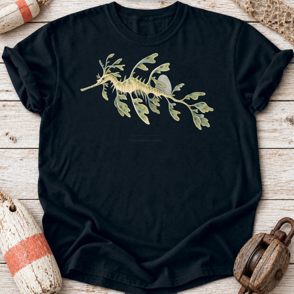 Leafy Seadragon Study