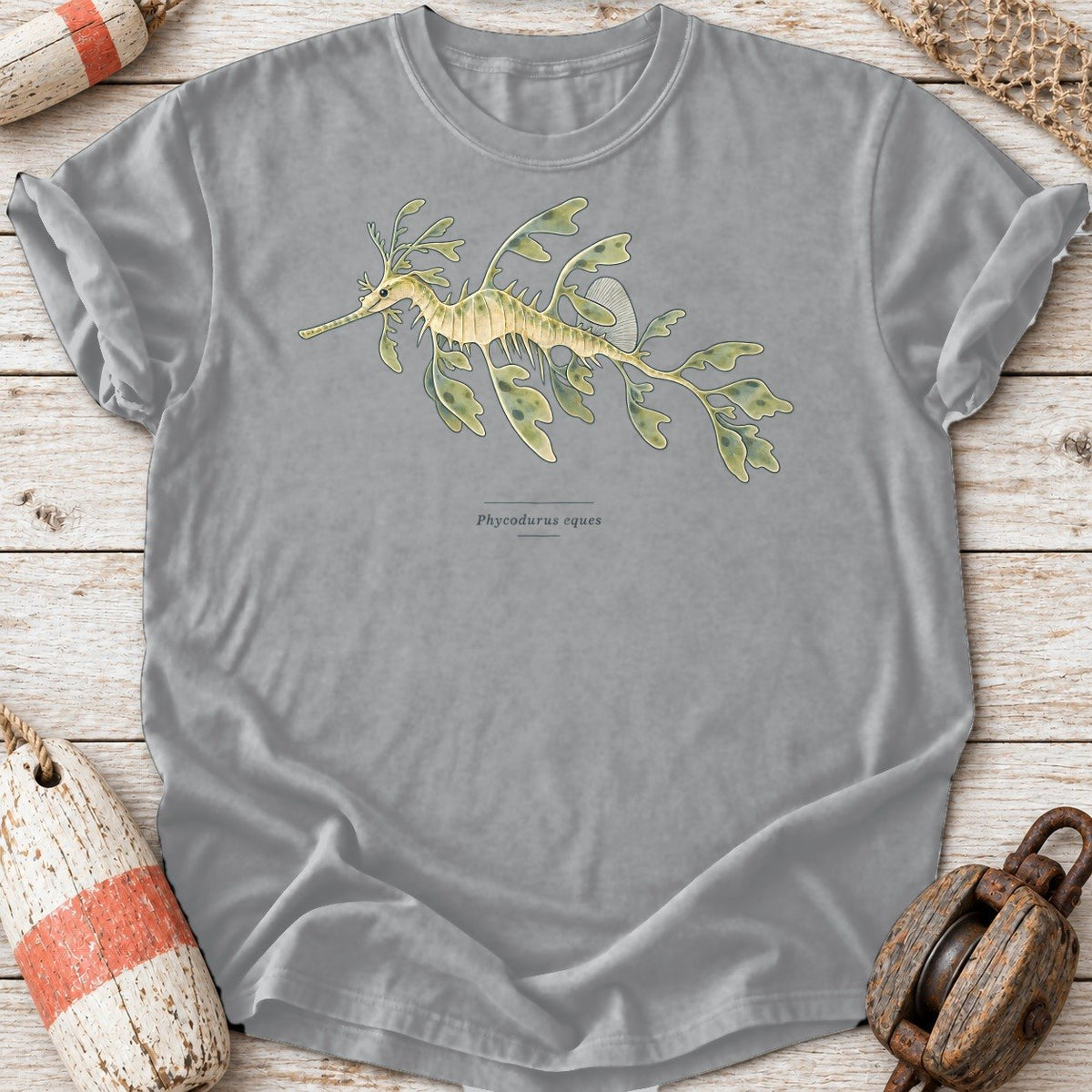 Leafy Seadragon Study