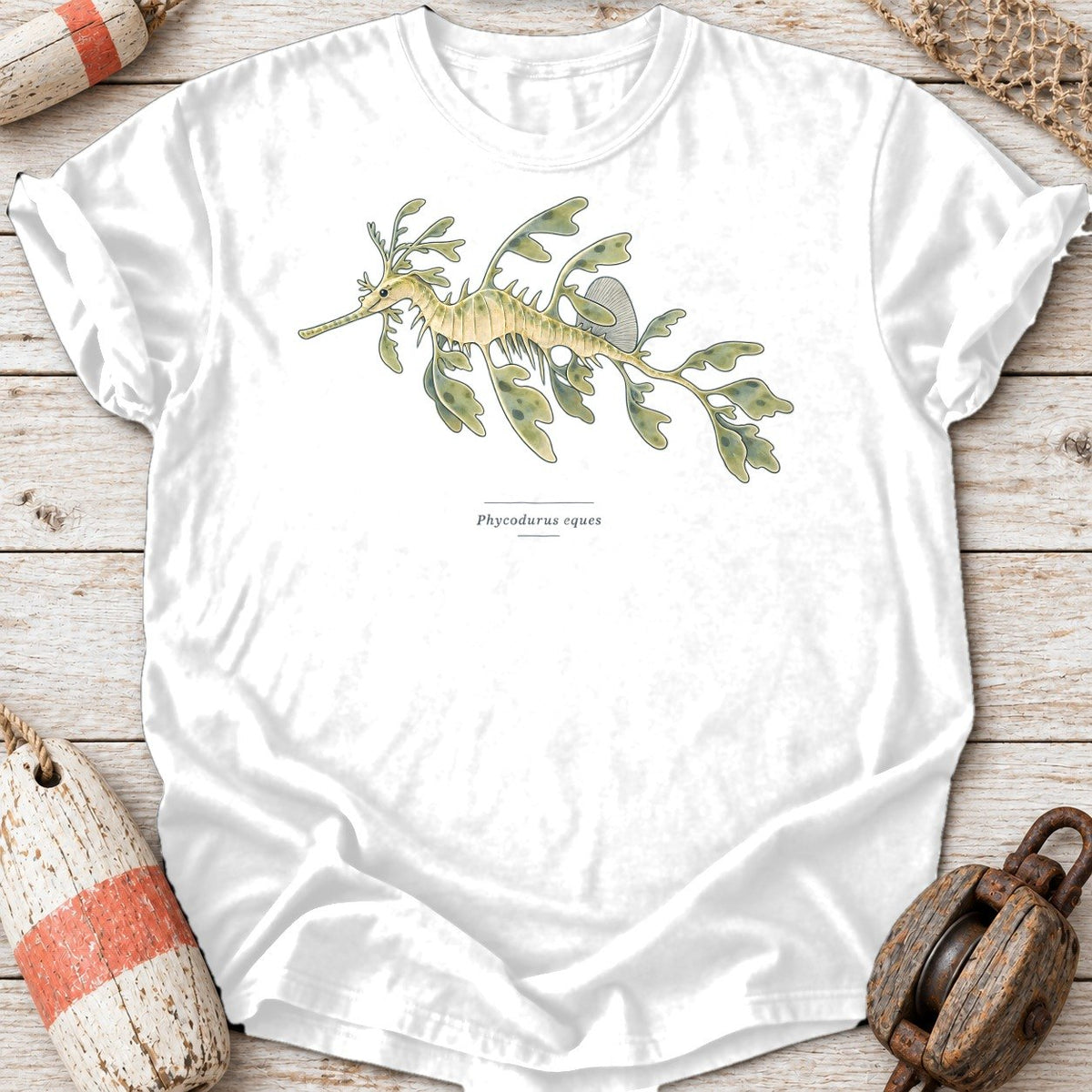 Leafy Seadragon Study