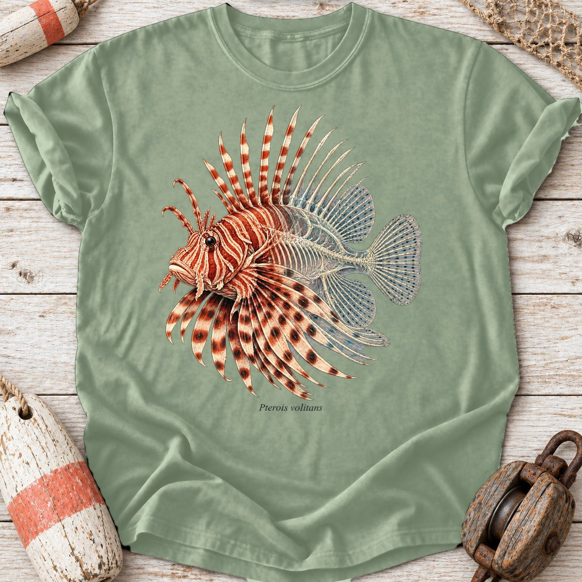 Lionfish Anatomy