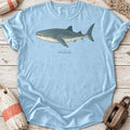 Minimal Whale Shark