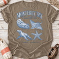 Monterey Bay Field Notes