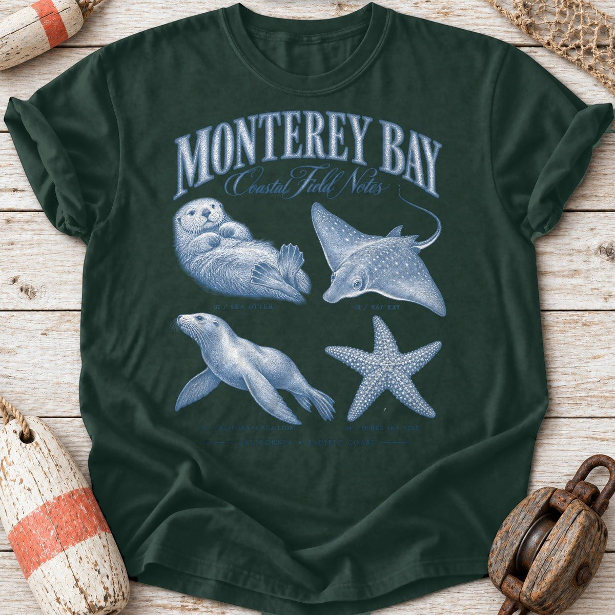 Monterey Bay Field Notes