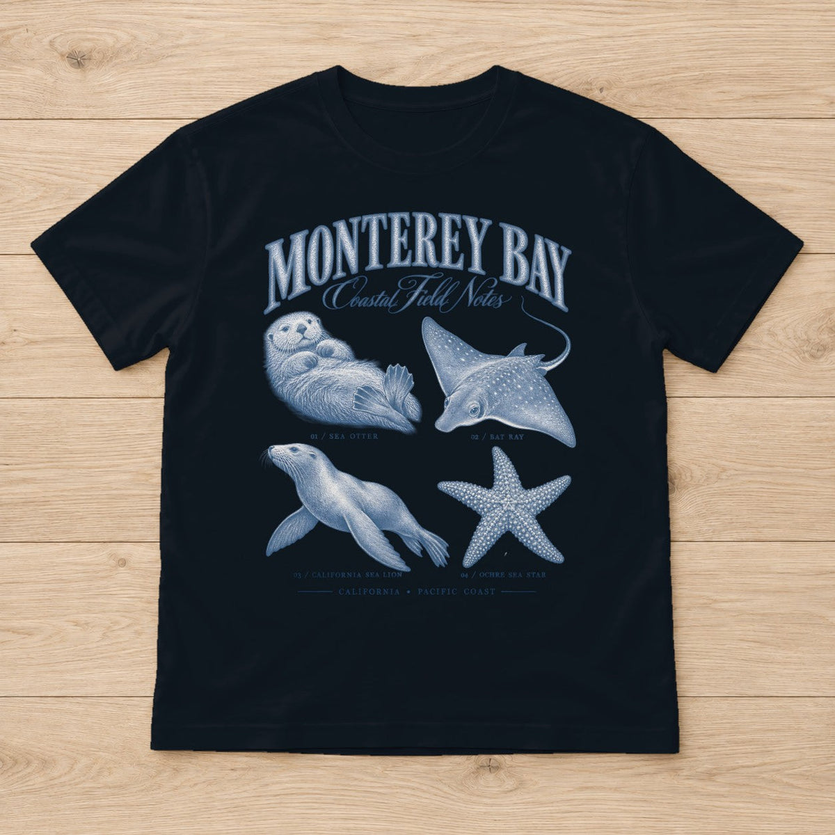 Monterey Bay Field Notes