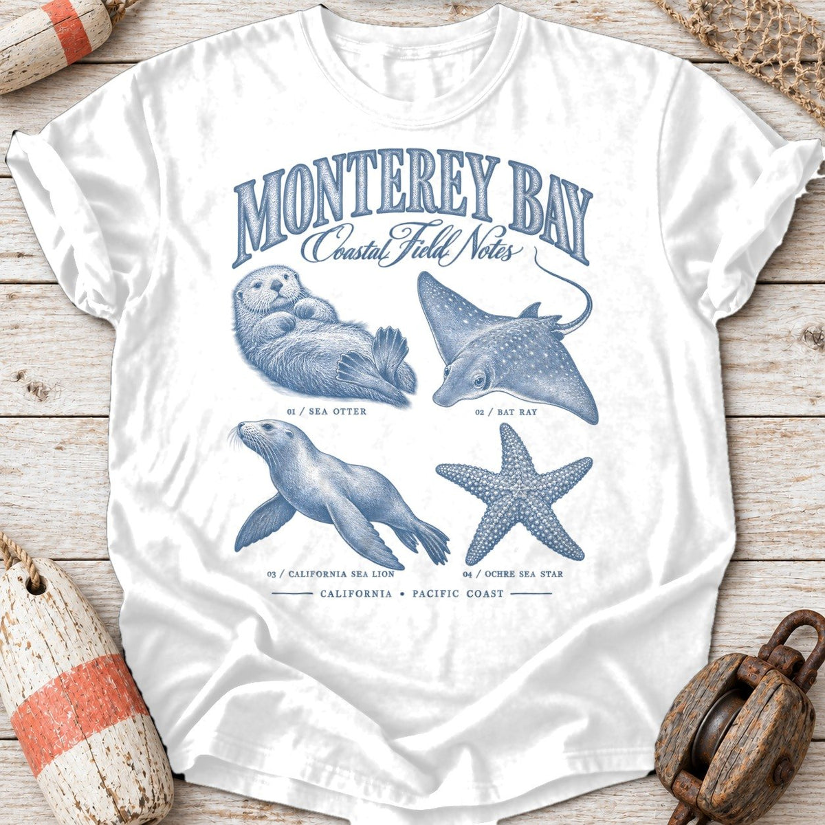 Monterey Bay Field Notes