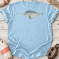 Narwhal