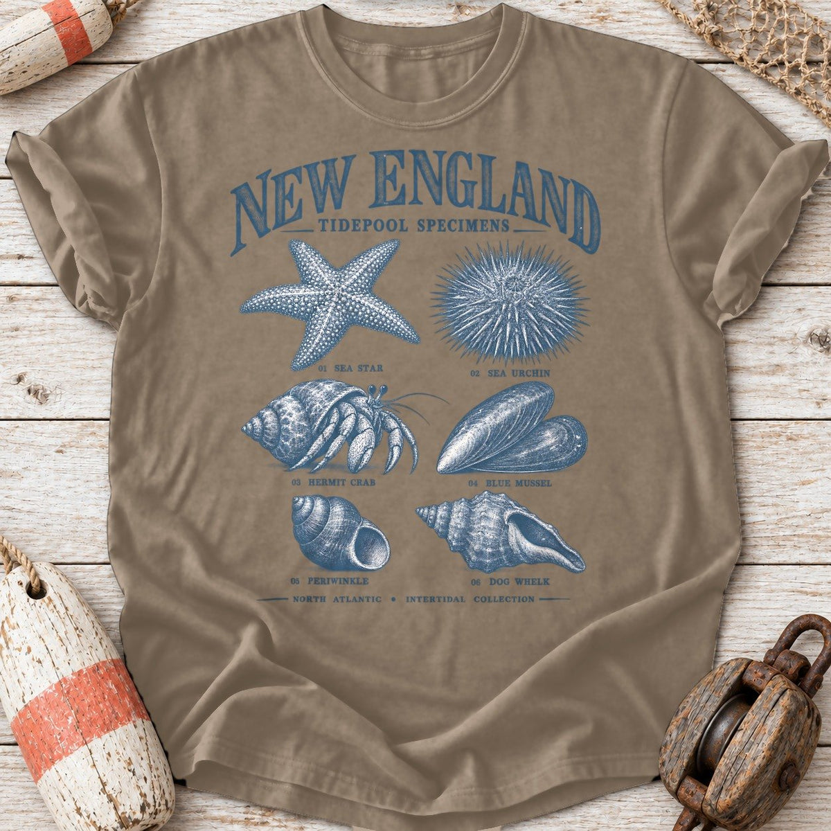 New England Tidepool