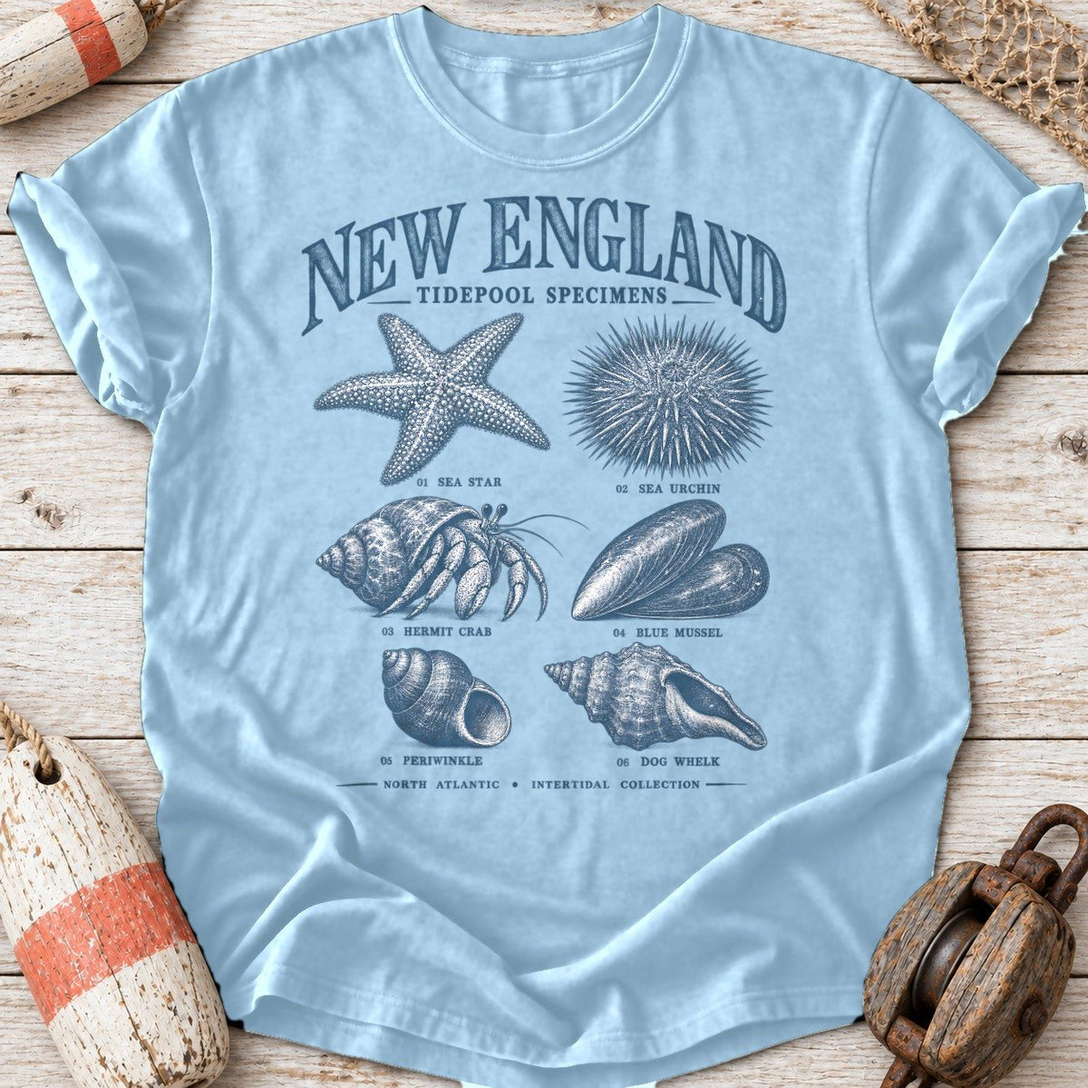 New England Tidepool