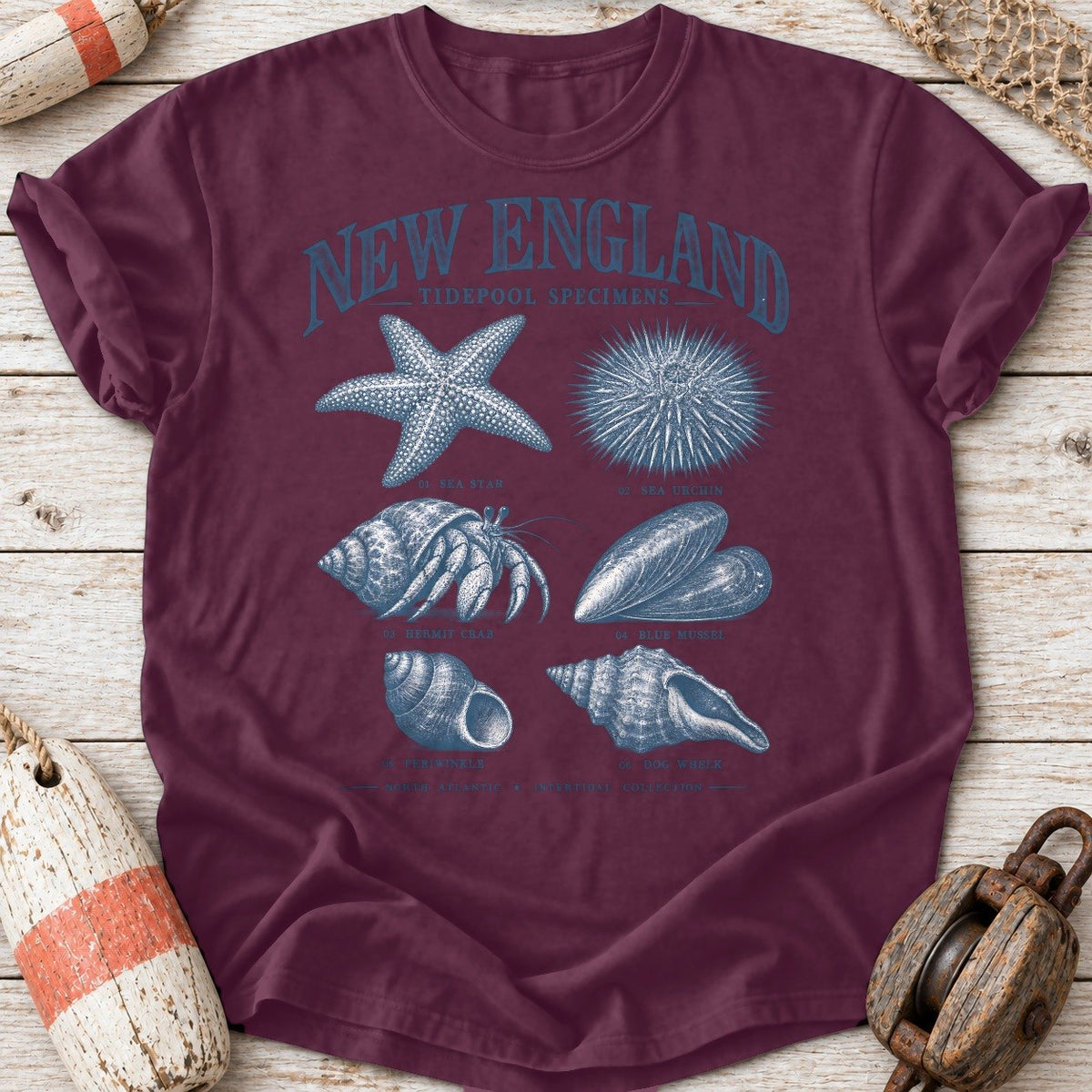 New England Tidepool