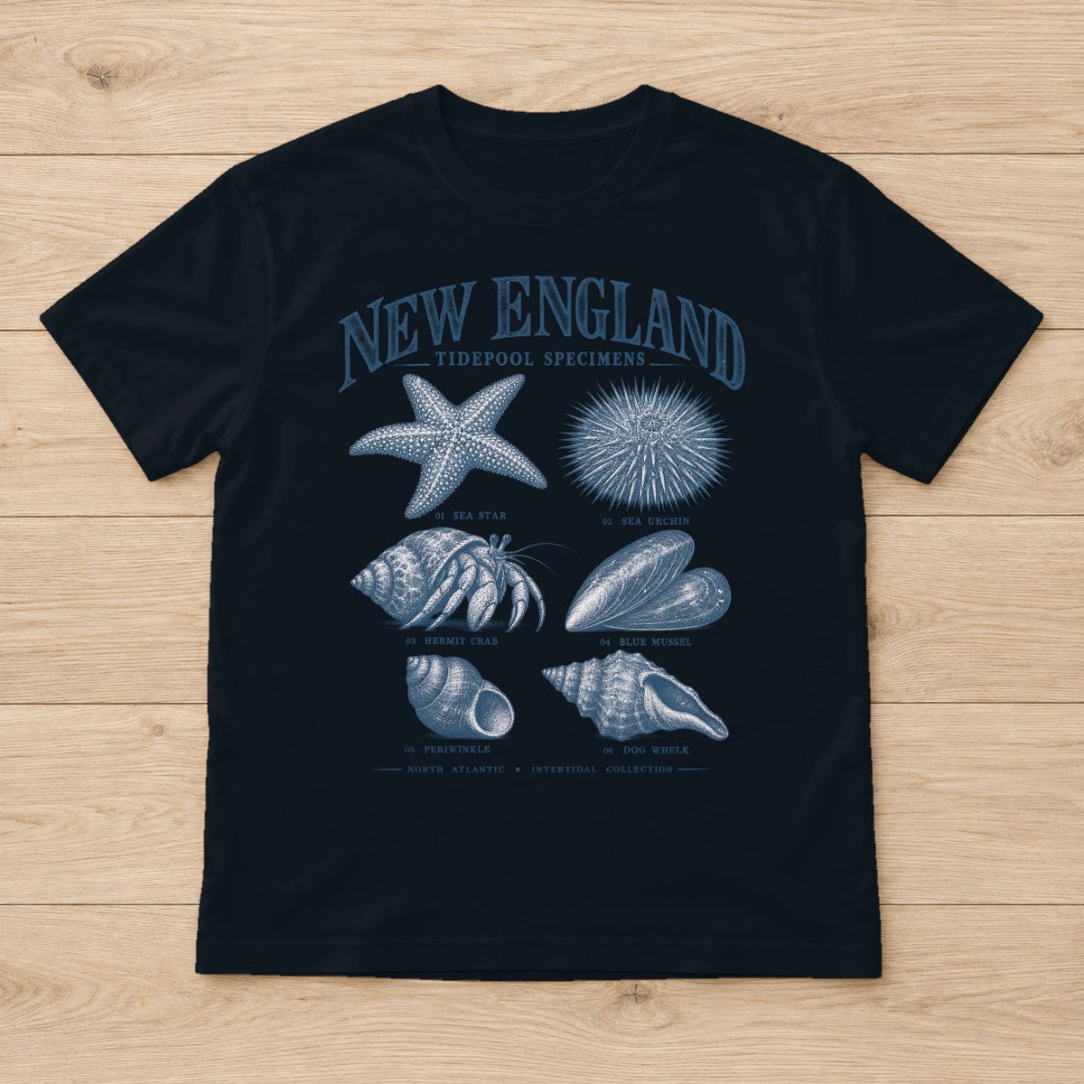 New England Tidepool