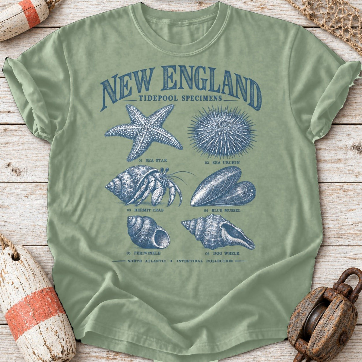 New England Tidepool