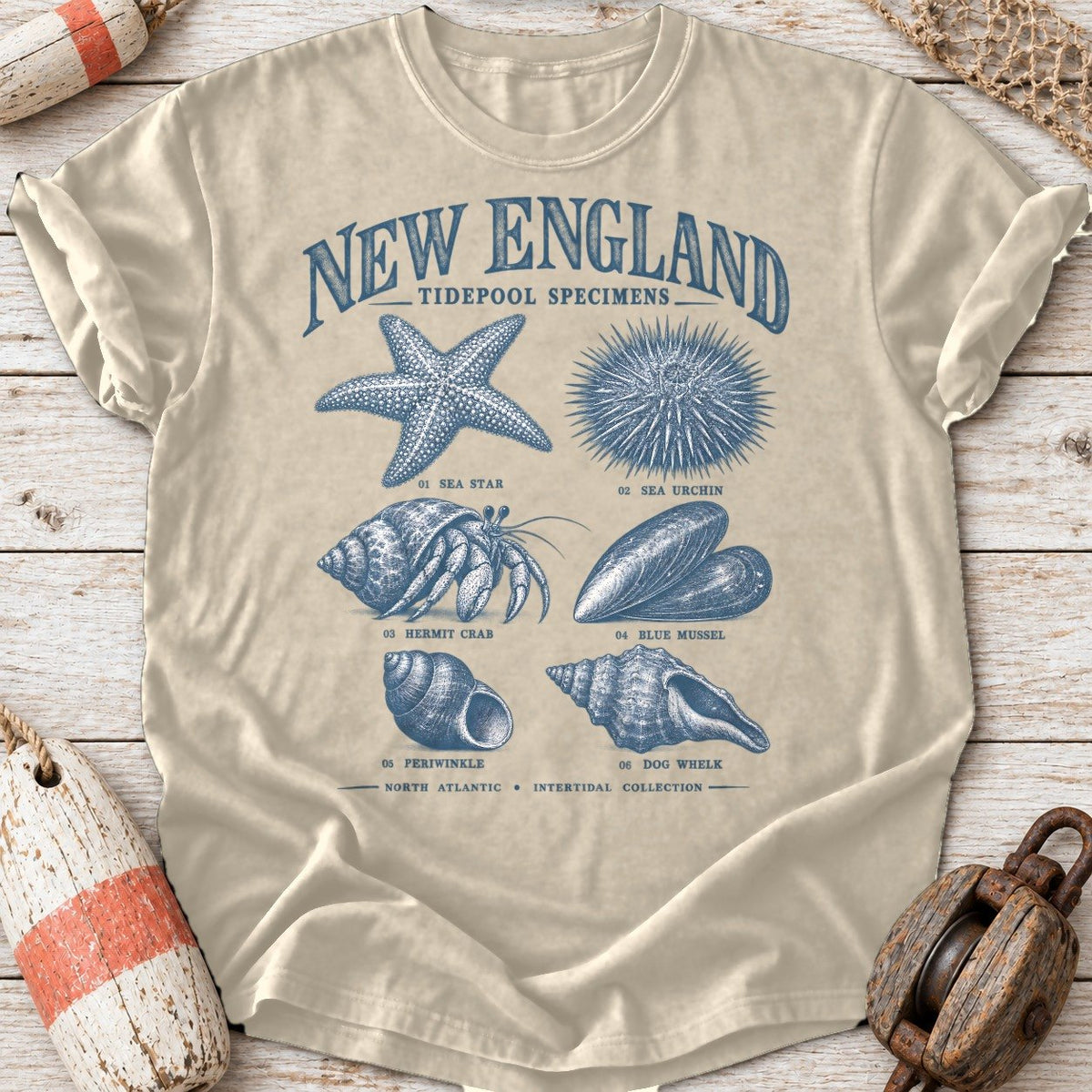 New England Tidepool