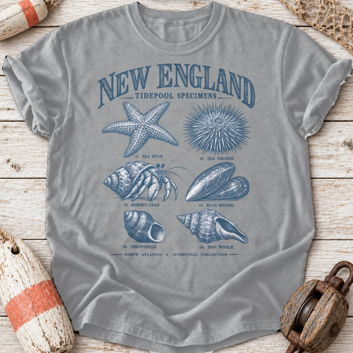 New England Tidepool