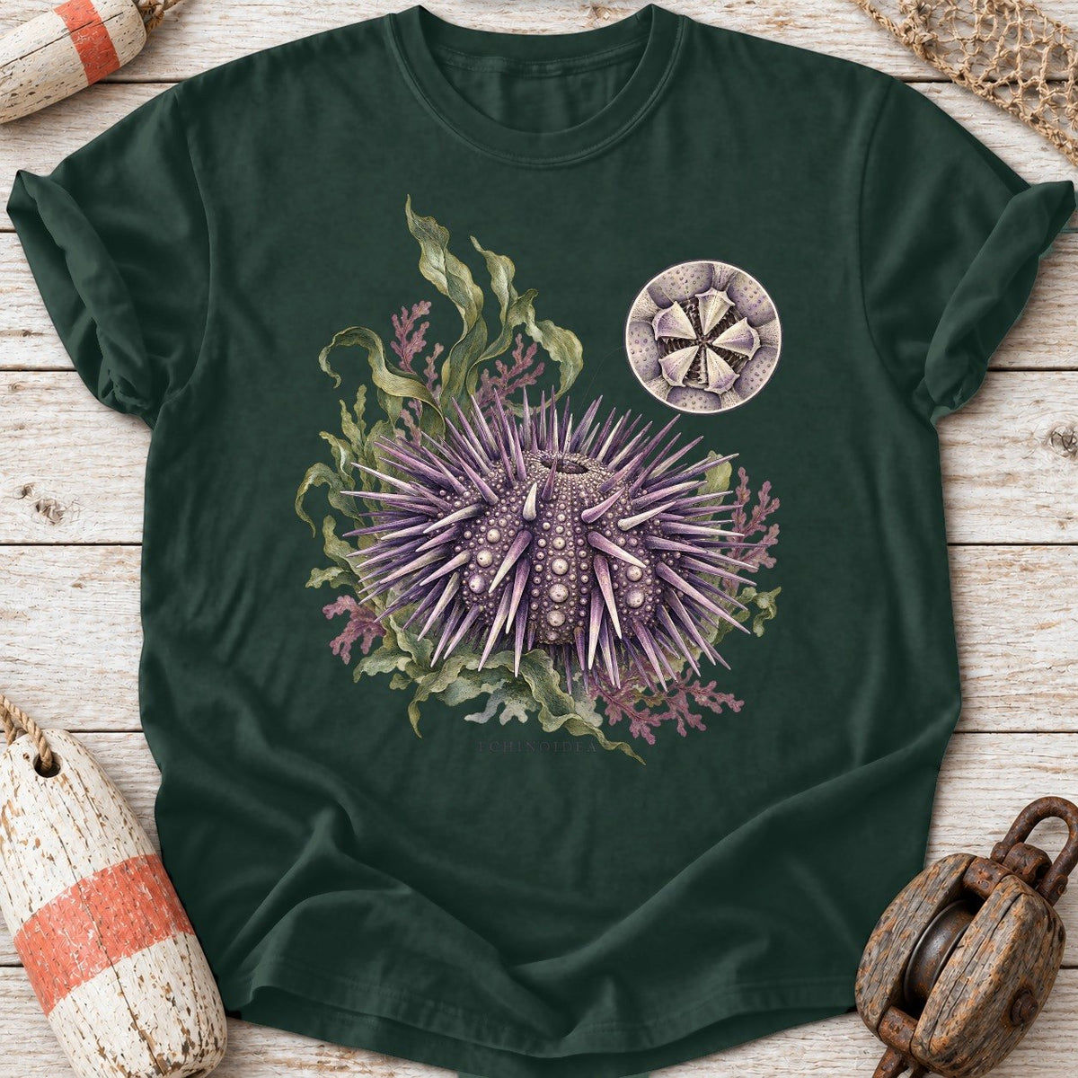 Sea Urchin