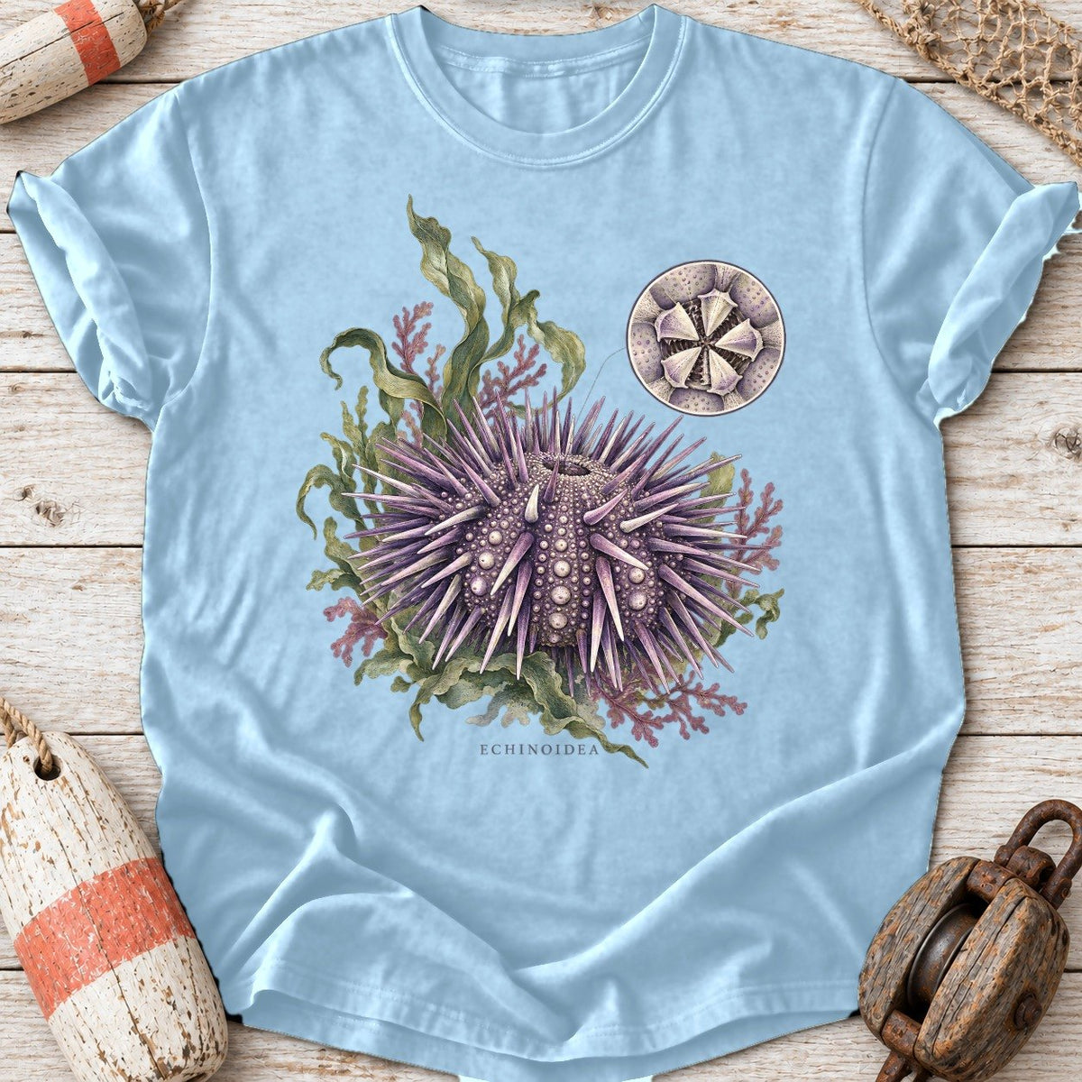 Sea Urchin