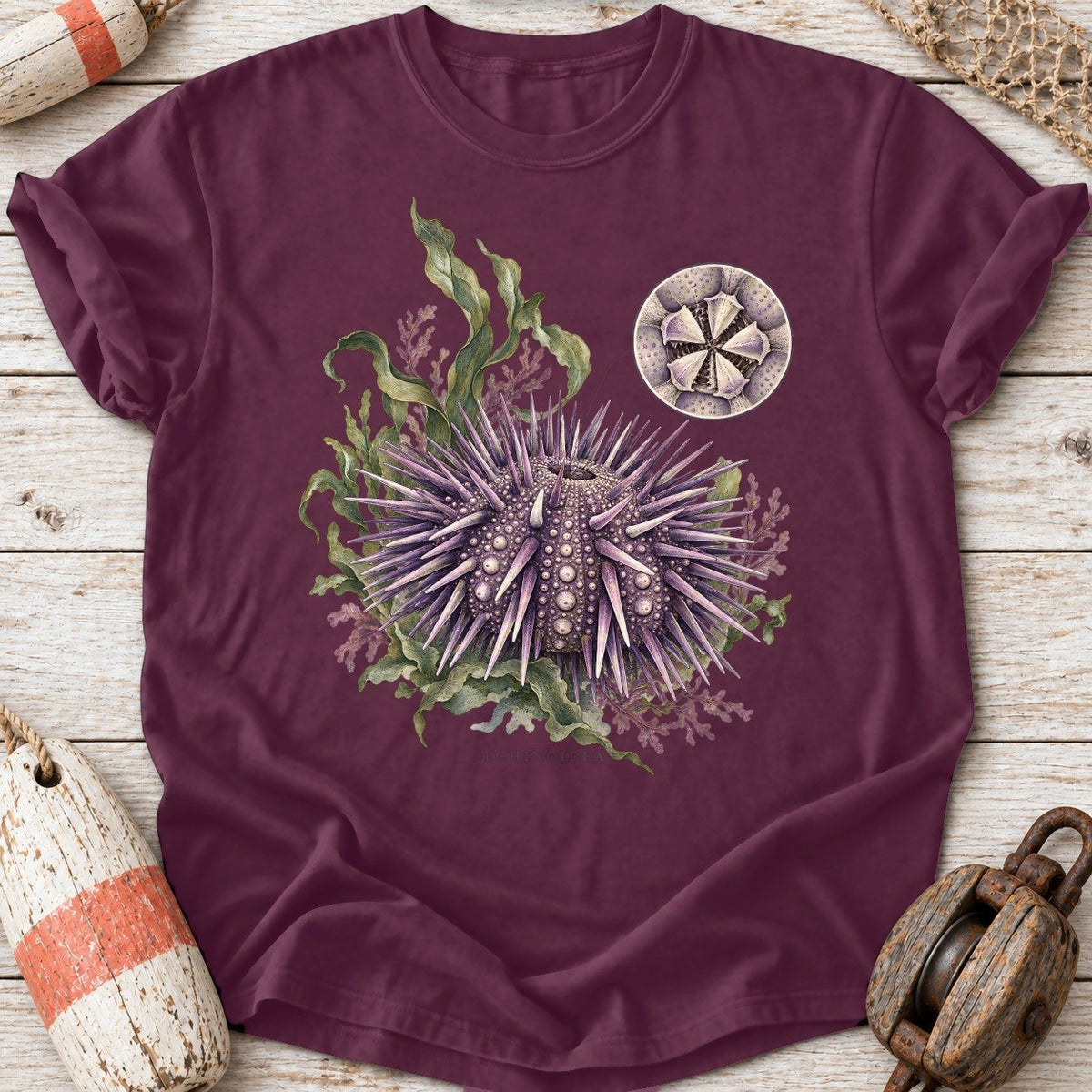 Sea Urchin