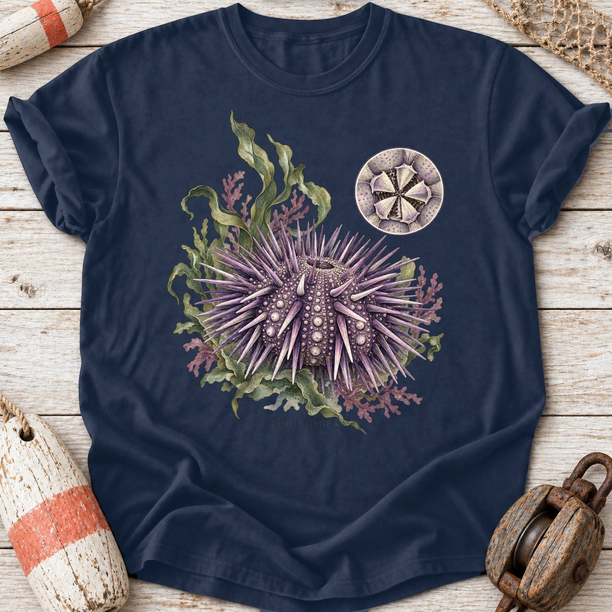 Sea Urchin