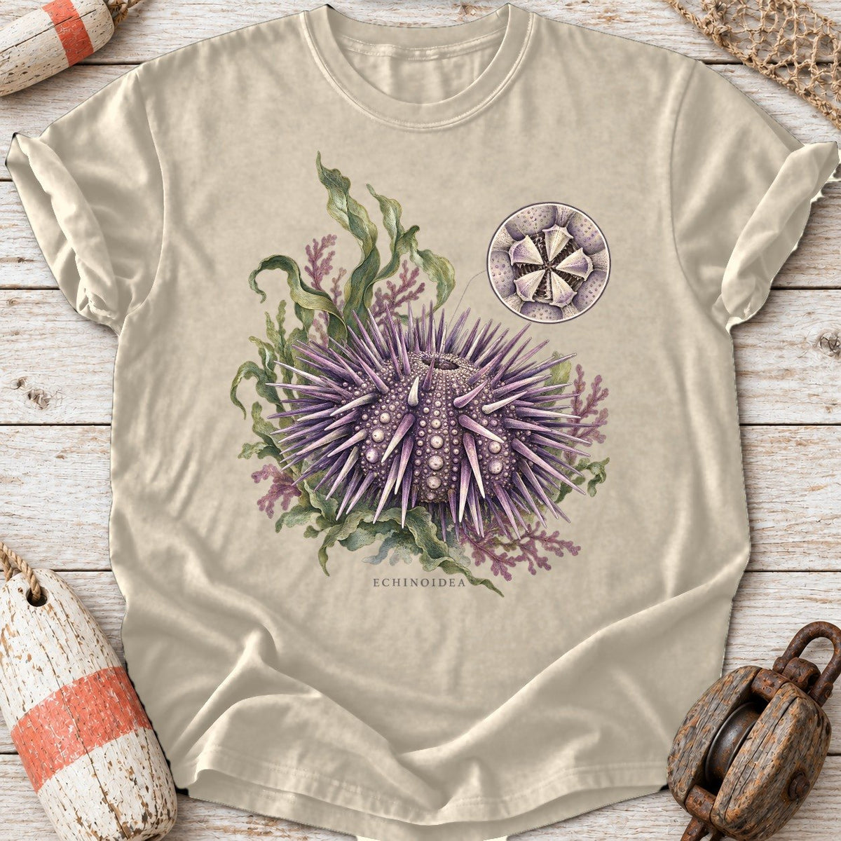 Sea Urchin