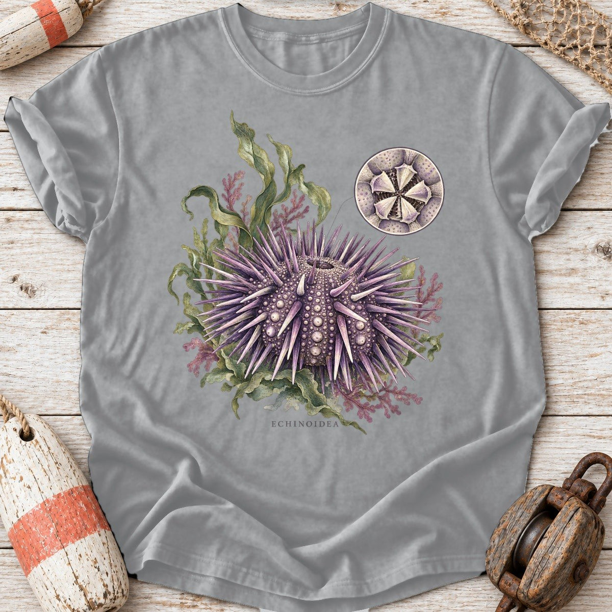 Sea Urchin