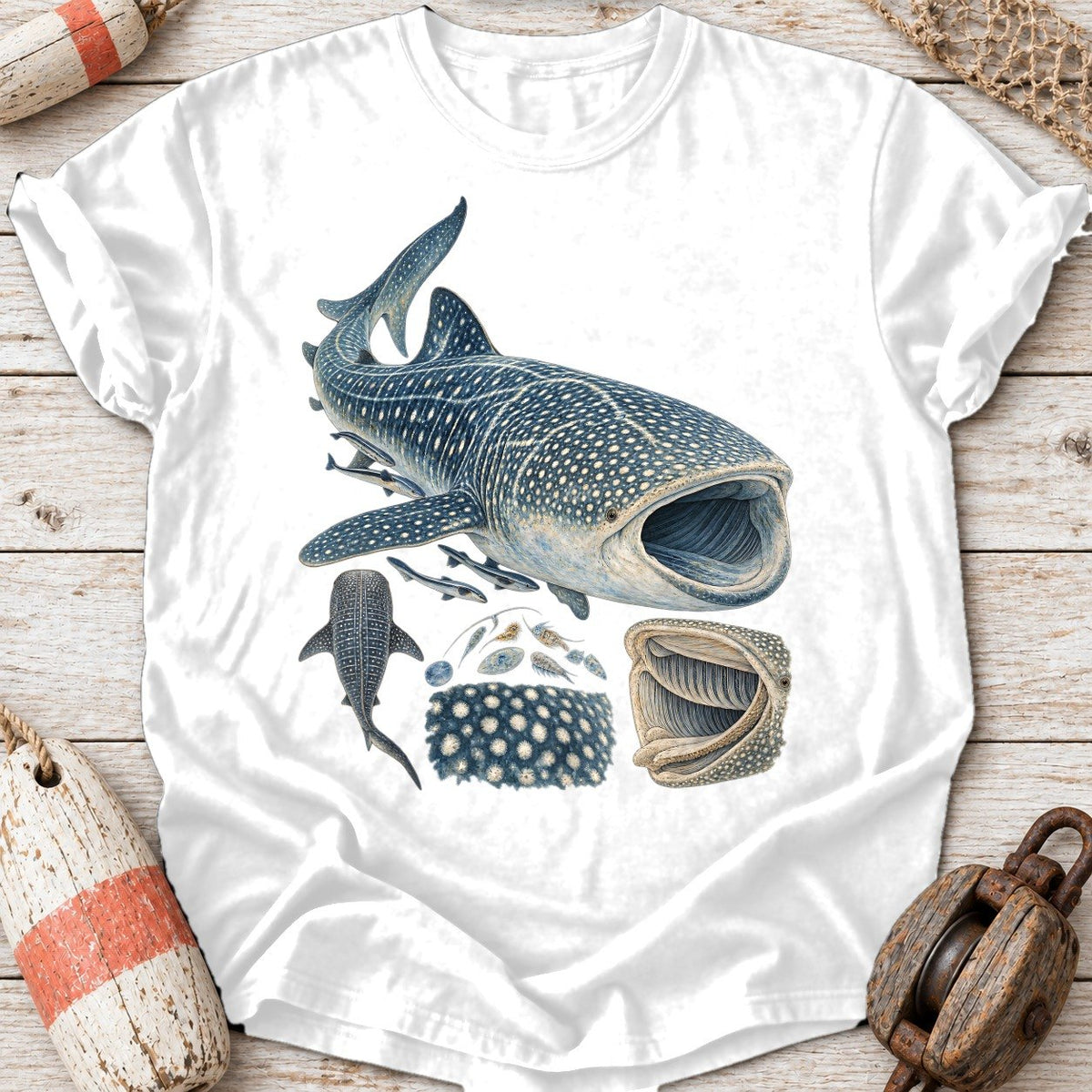 Whale Shark History